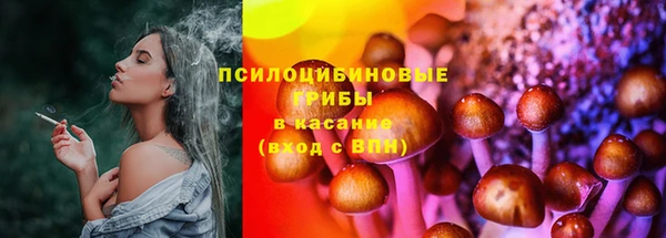 PSILOCYBIN Арсеньев